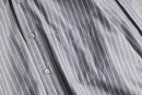 Z Zegna stripe BD shirt