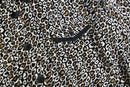 leopard stripe design shirt