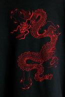 dragon embroidery pattern loose hoodie