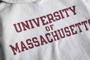 “Champion” reverse weave college print hoodie
