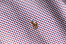 “POLO RALPH LAUREN” checkerd B.D shirt