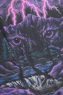 1990s Mt. Nebo State Park tee